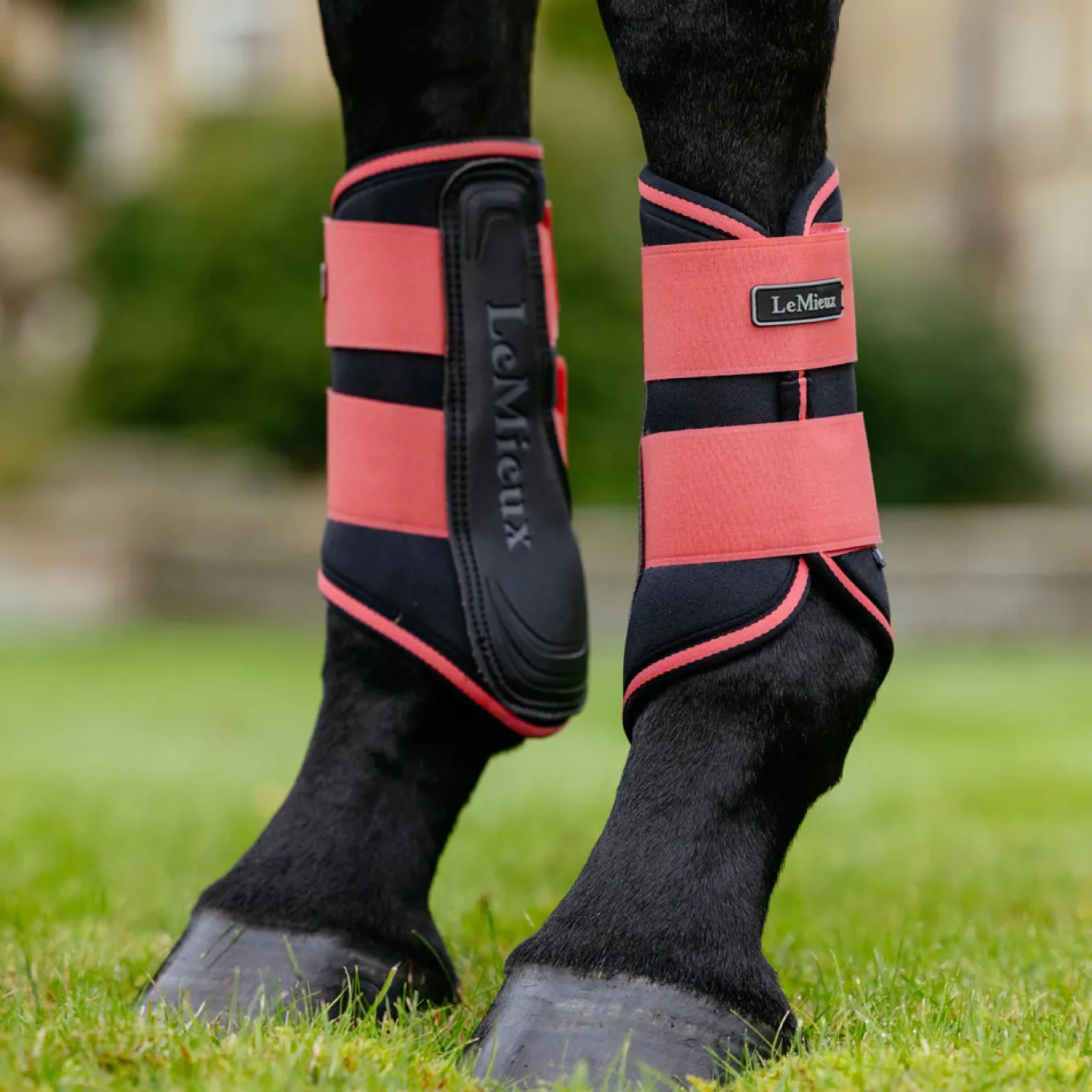 LeMieux Grafter Brushing Boots