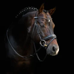 LeMieux Kudos Classic Dressage Bridle