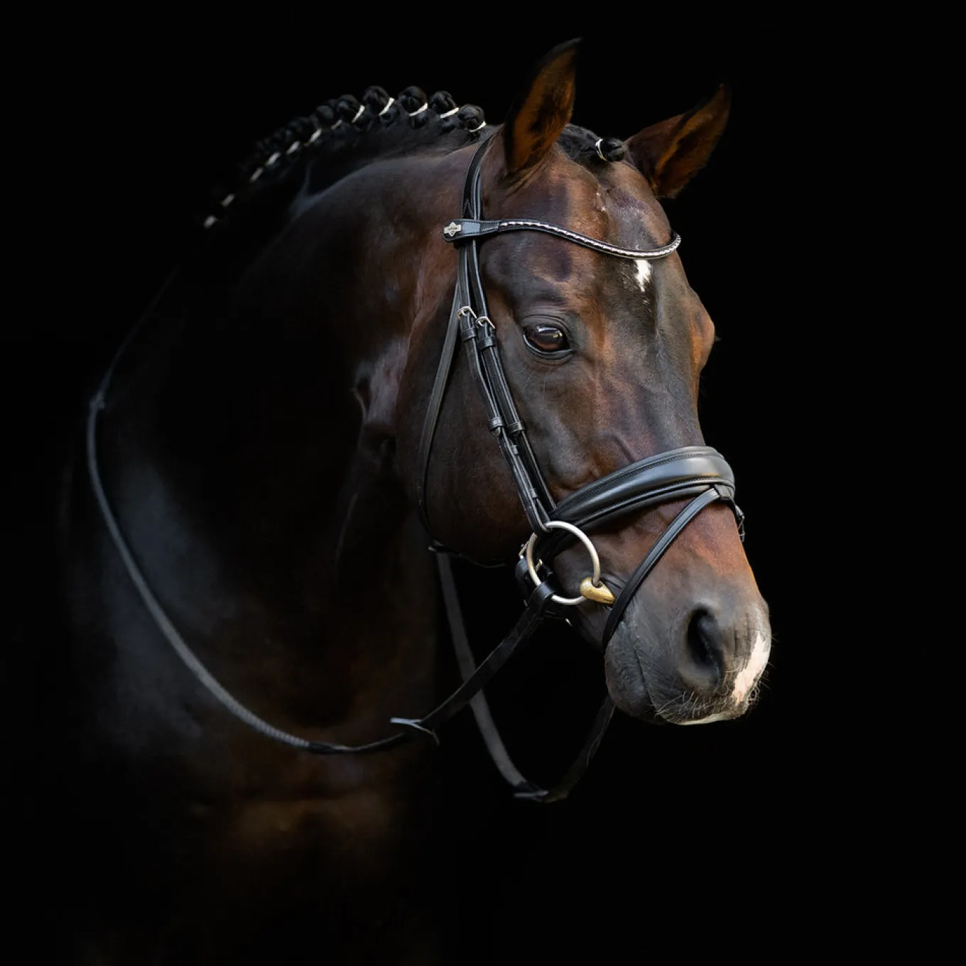 LeMieux Kudos Classic Dressage Bridle