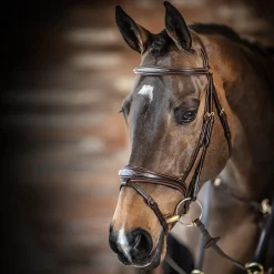 LeMieux Kudos Competition Flash Bridle