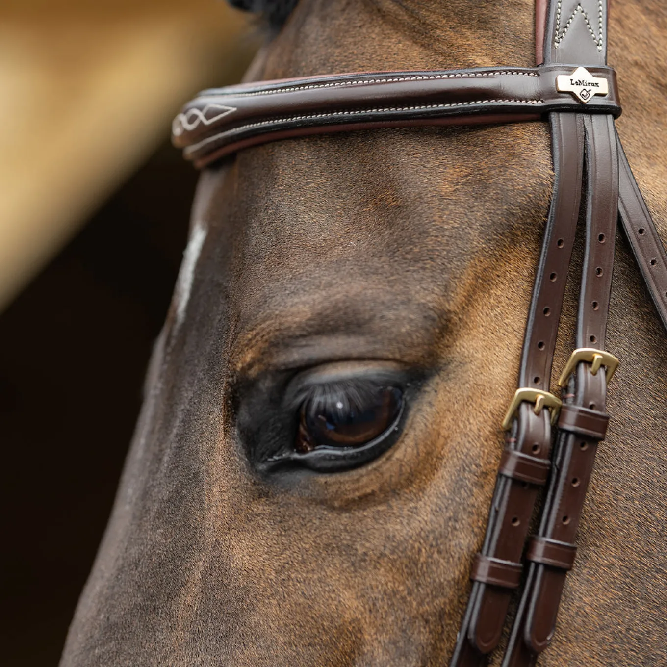 LeMieux Kudos Competition Flash Bridle