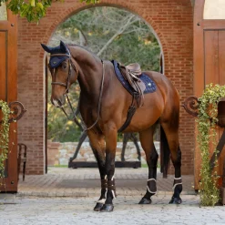 LeMieux Loire Classic Close Contact Saddle Pad