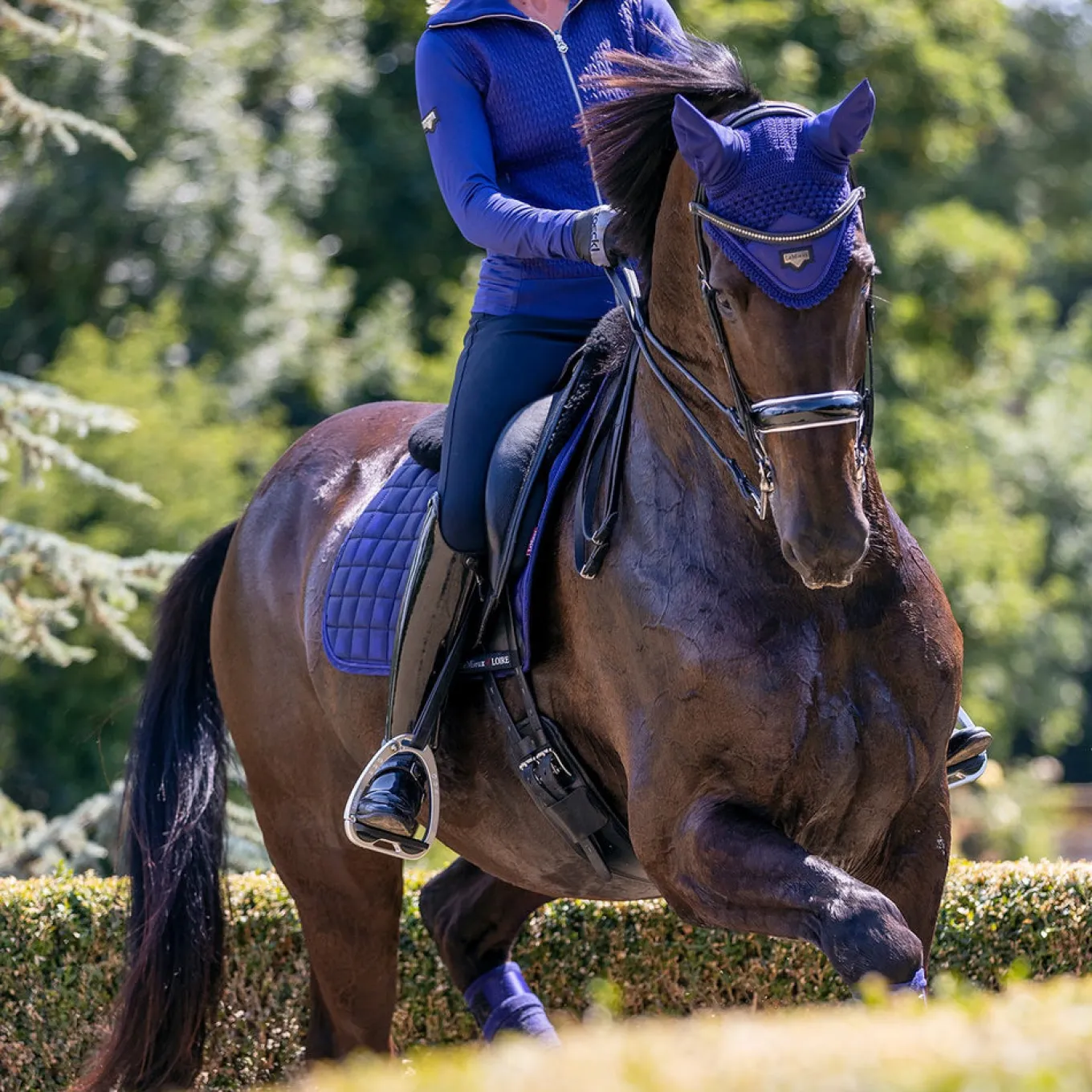 LeMieux Loire Fly Veil