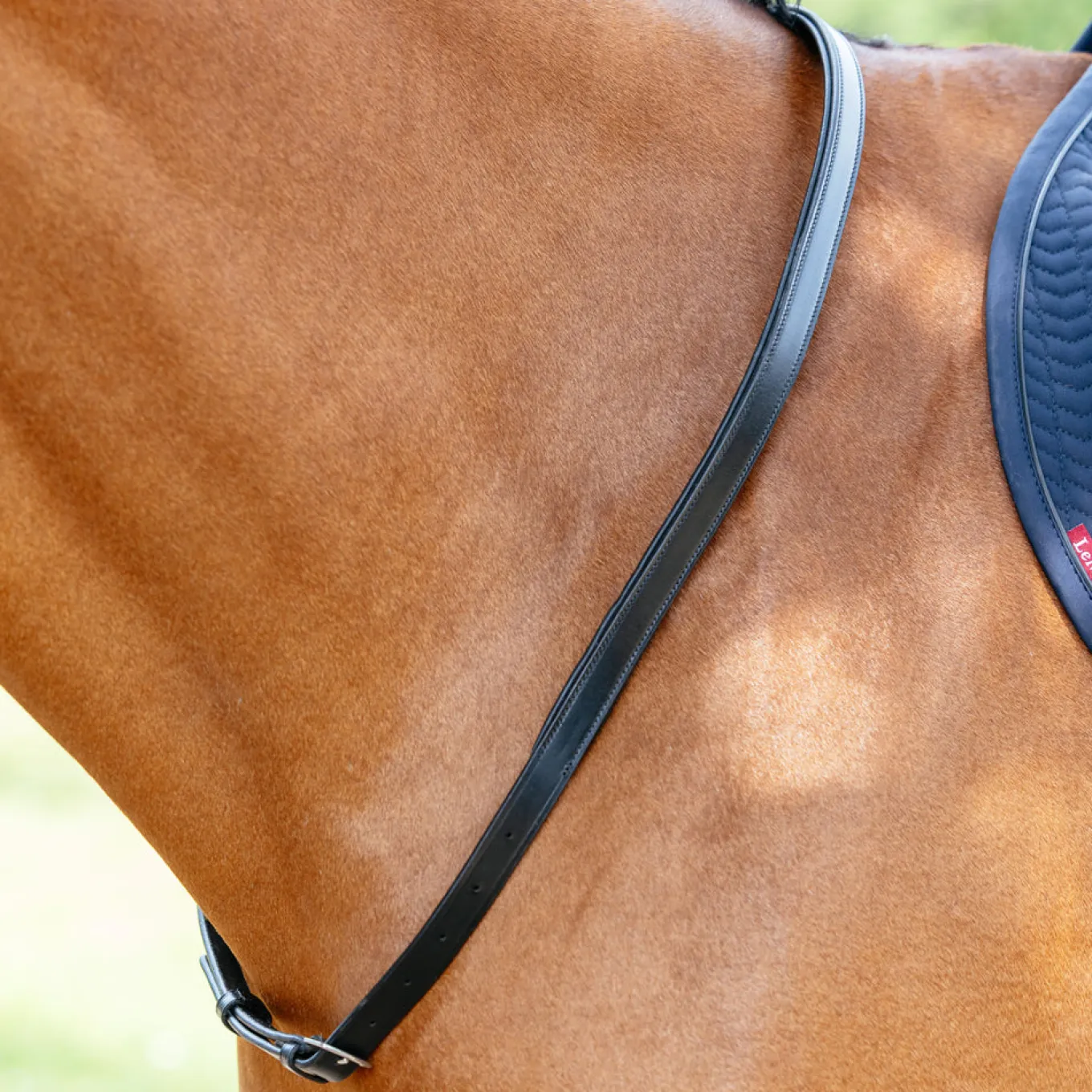LeMieux Neck Strap