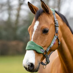 LeMieux Vogue Halter & Lead Rope