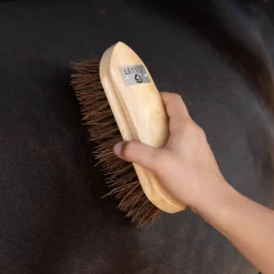 Lettia Mud Brush