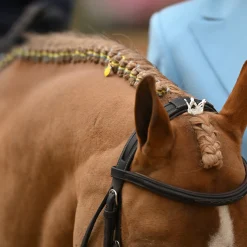 Luxy Charm Pointed Forelock Crown
