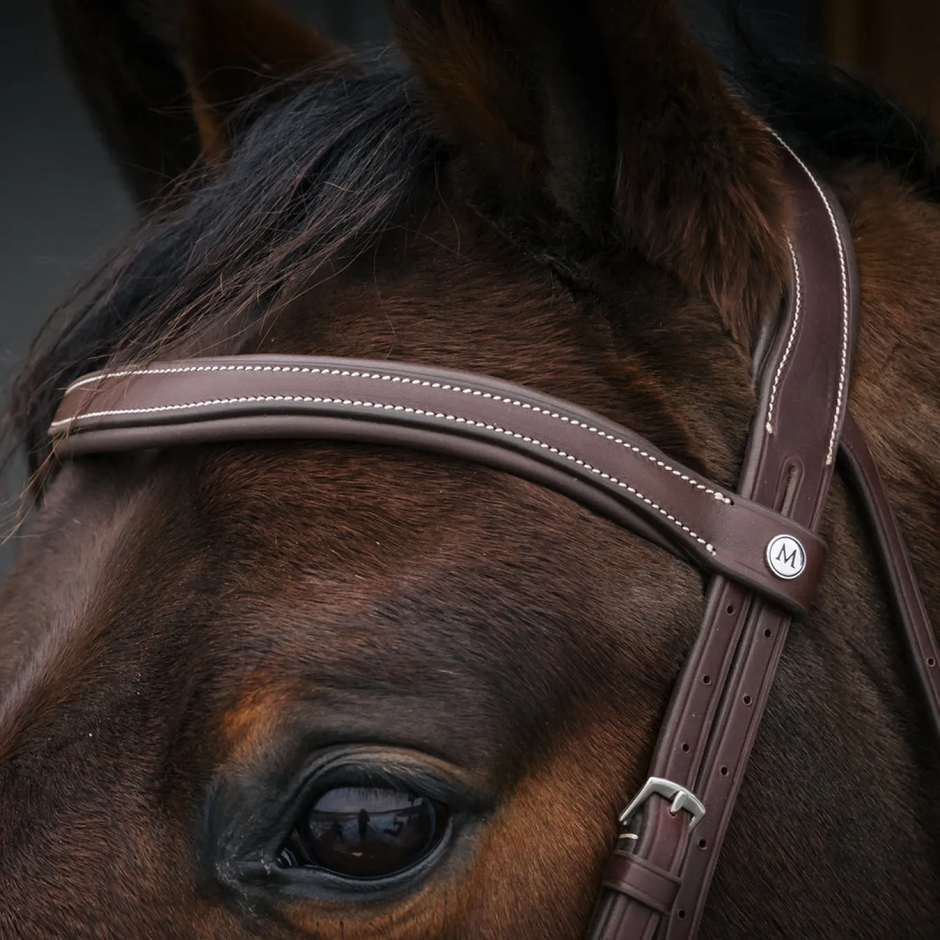 Mondega Bayeux Poll Relief Anatomical Bridle