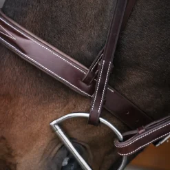 Mondega Coretto Wide Noseband Hunter Bridle