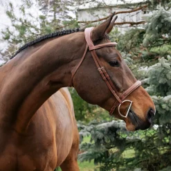 Mondega Gayo Classic Hunter Bridle