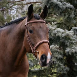 Mondega Gayo Classic Hunter Bridle