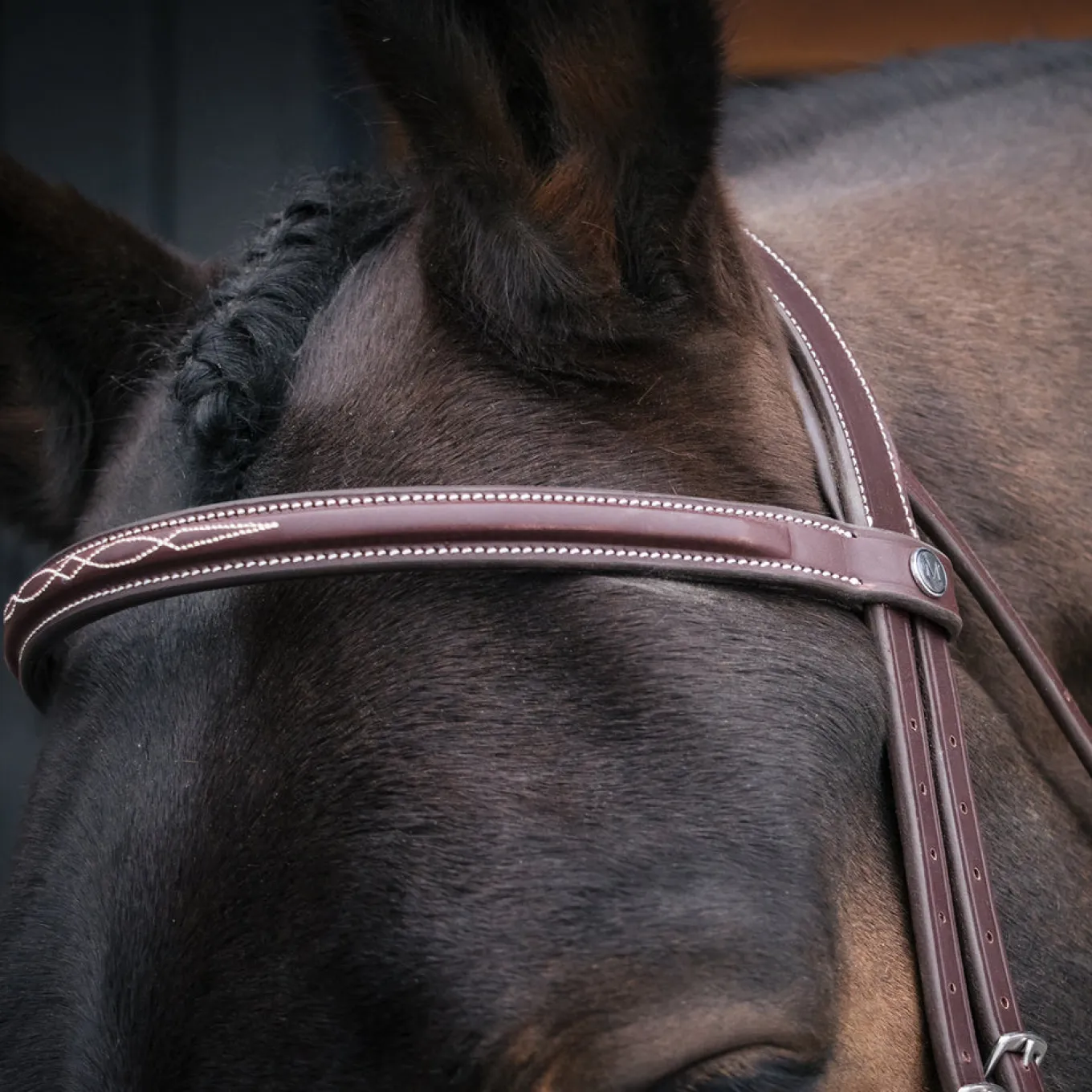 Mondega Gayo Classic Hunter Bridle