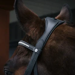 Mondega Laval Dressage Bridle