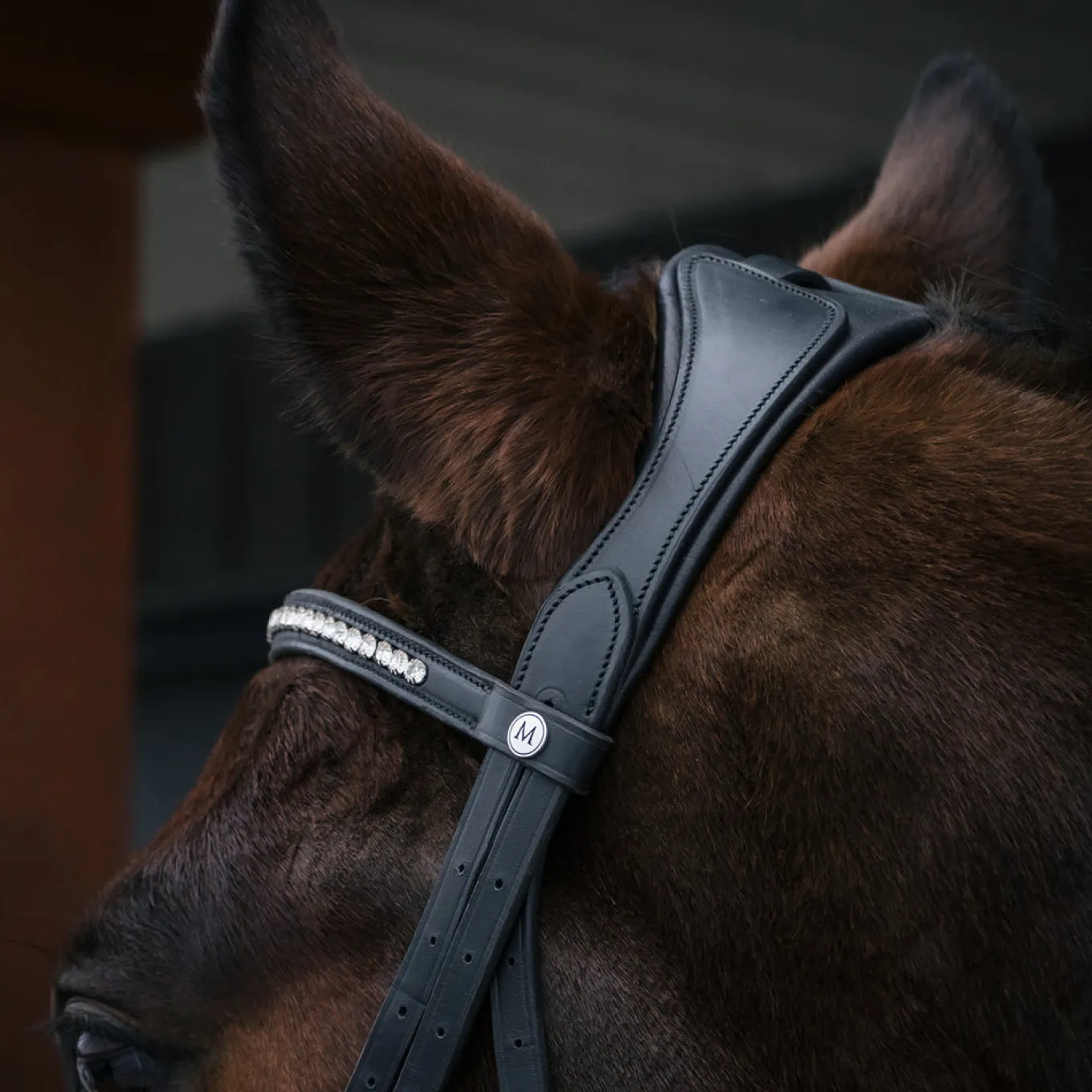 Mondega Laval Dressage Bridle