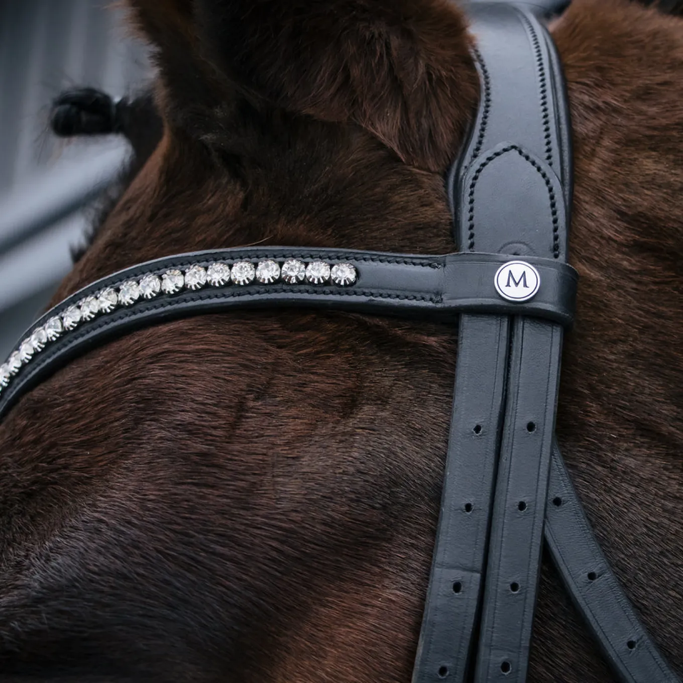 Mondega Laval Dressage Bridle