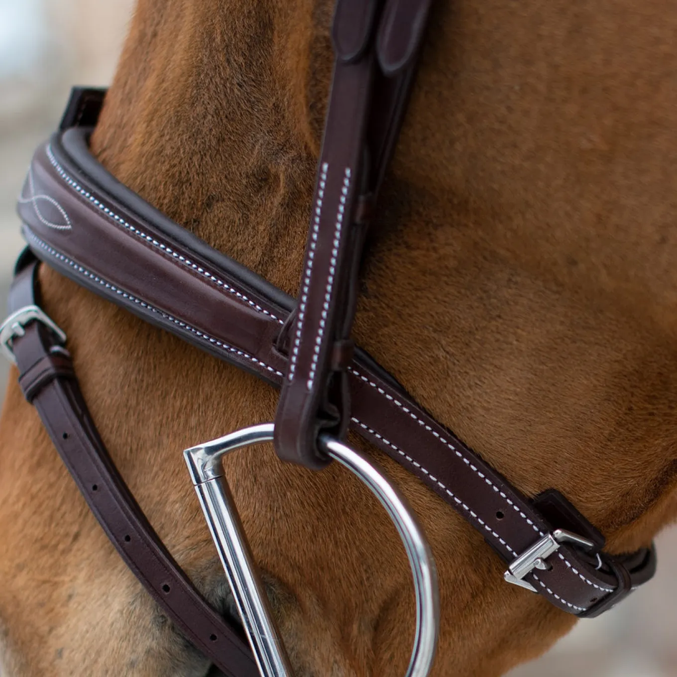 Mondega Liberica Fancy Stitched Hunter Bridle