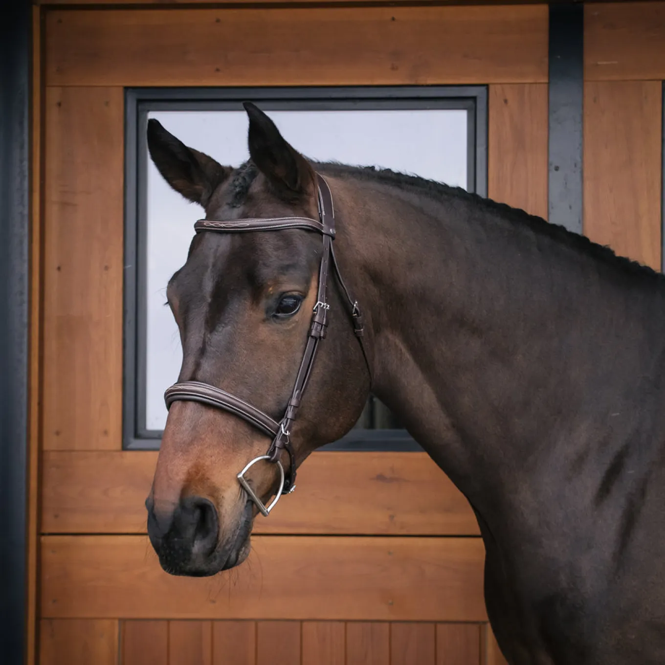 Mondega Marocchino Hunter Bridle