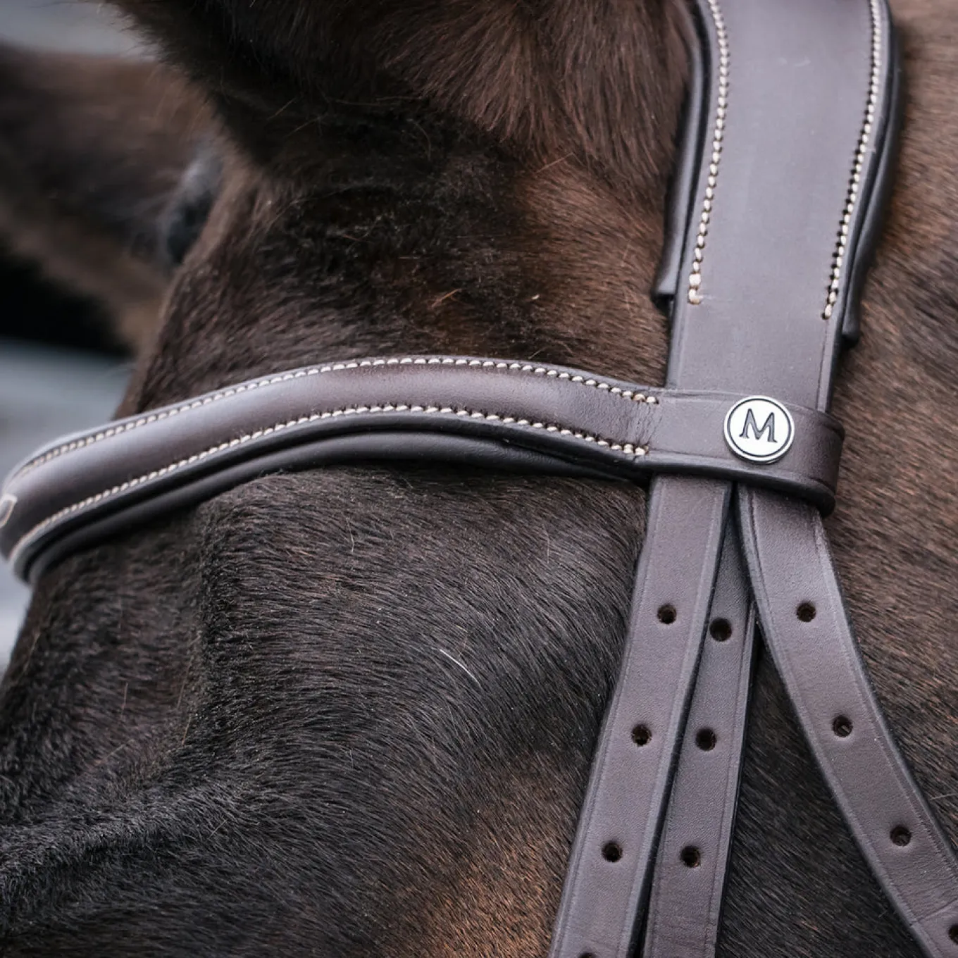 Mondega Marocchino Hunter Bridle