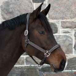 Mondega Raised Fancy Stitched Halter