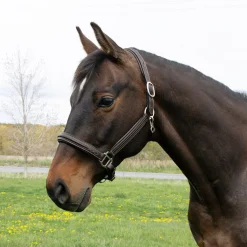 Mondega Raised Fancy Stitched Halter