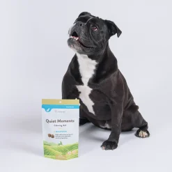 NaturVet Quiet Moments Calming Aid Dog Supplement 142 g