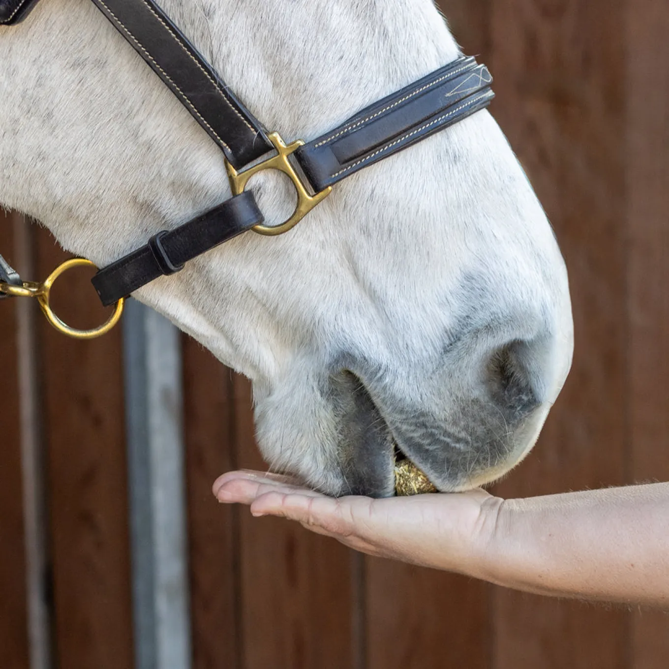 Nickers Crunchy Cubes Horse Treats