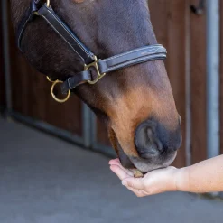 Nickers Training Treats Horse Treats