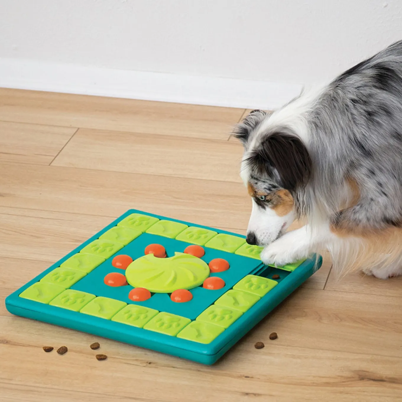 Nina Ottosson Multipuzzle Dog Puzzle