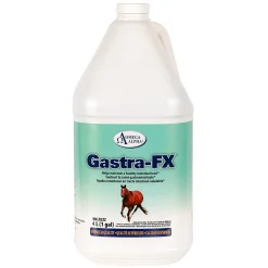Omega Alpha Gastra-Fx 4 L