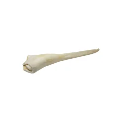 Open Range Bully Tail Full Length Dog Chew