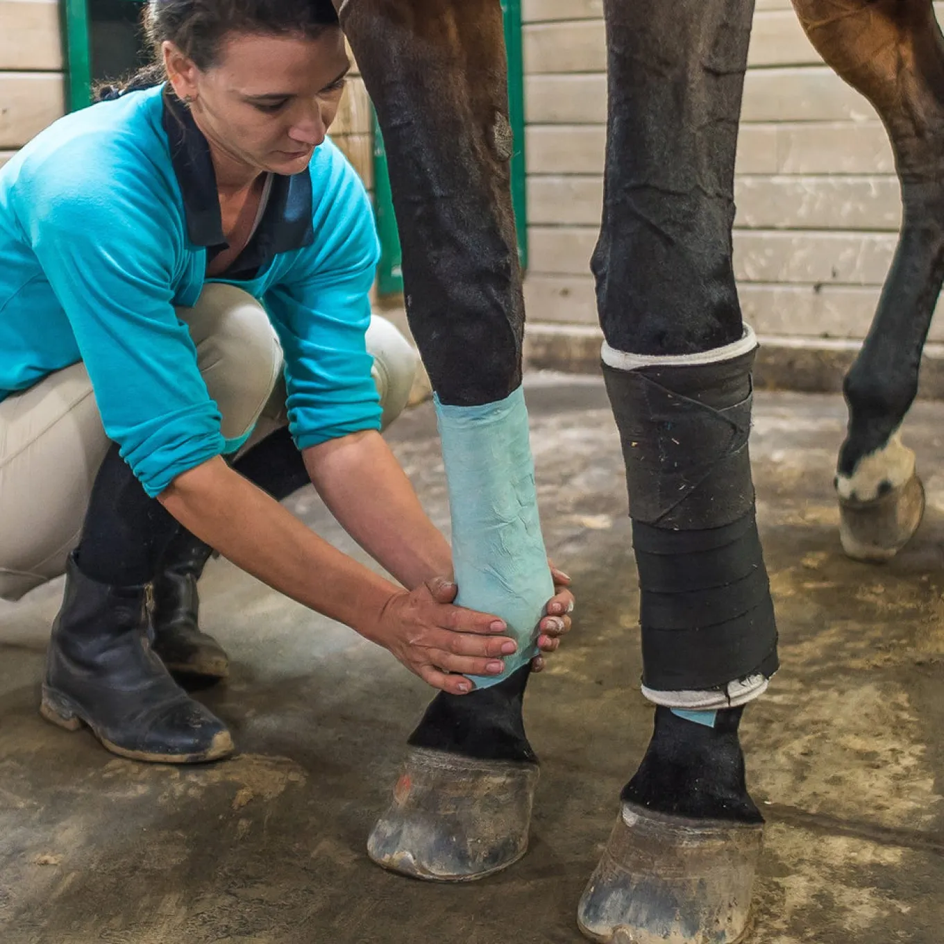 Quinn's Equine Poultice Wraps