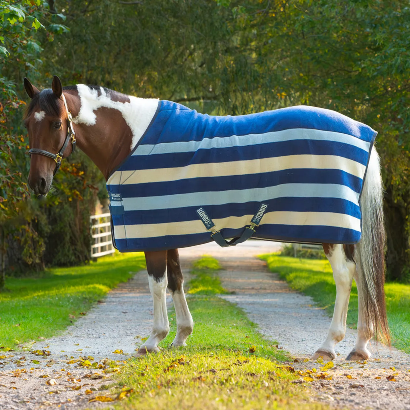 Rambo Deluxe Fleece Cooler