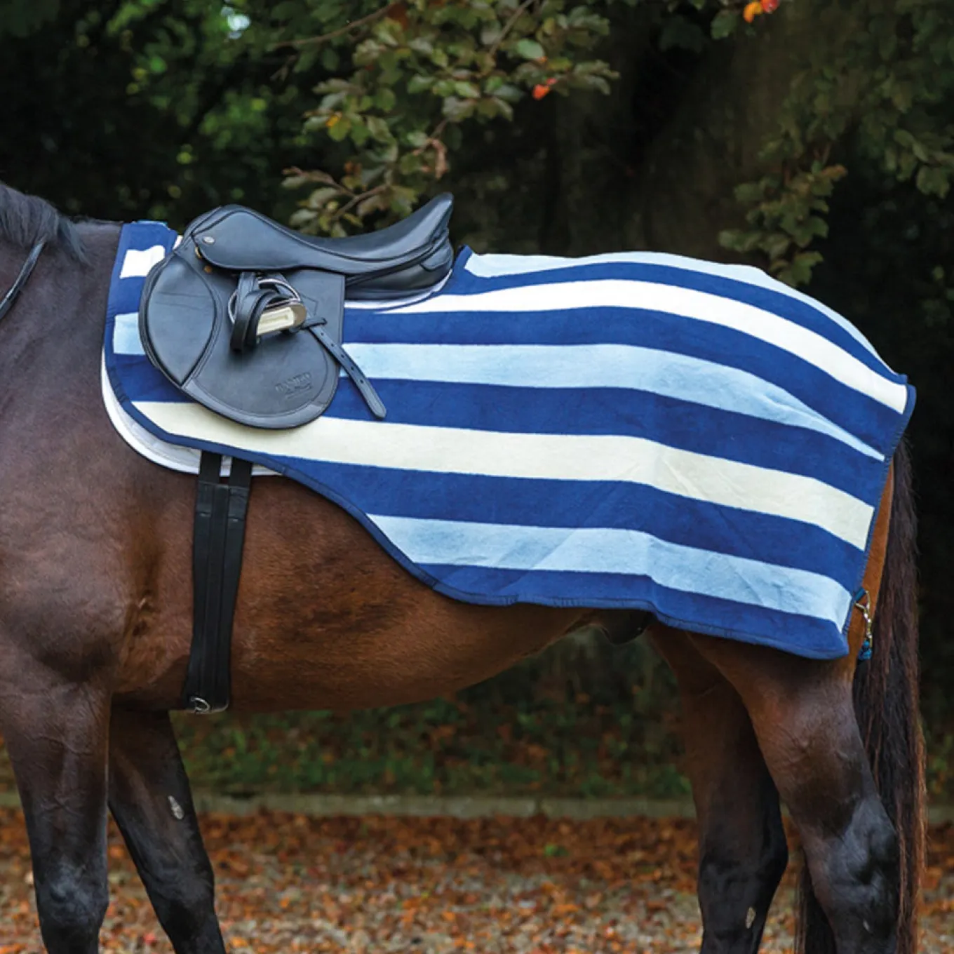 Rambo Fleece Competition Sheet