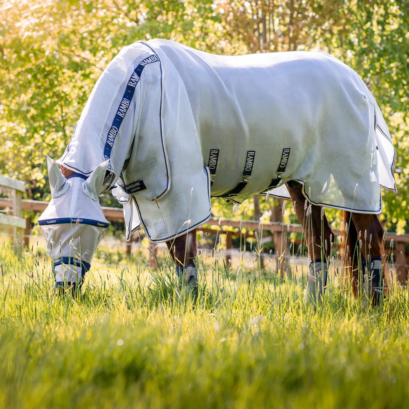 Rambo Plus Fly Mask