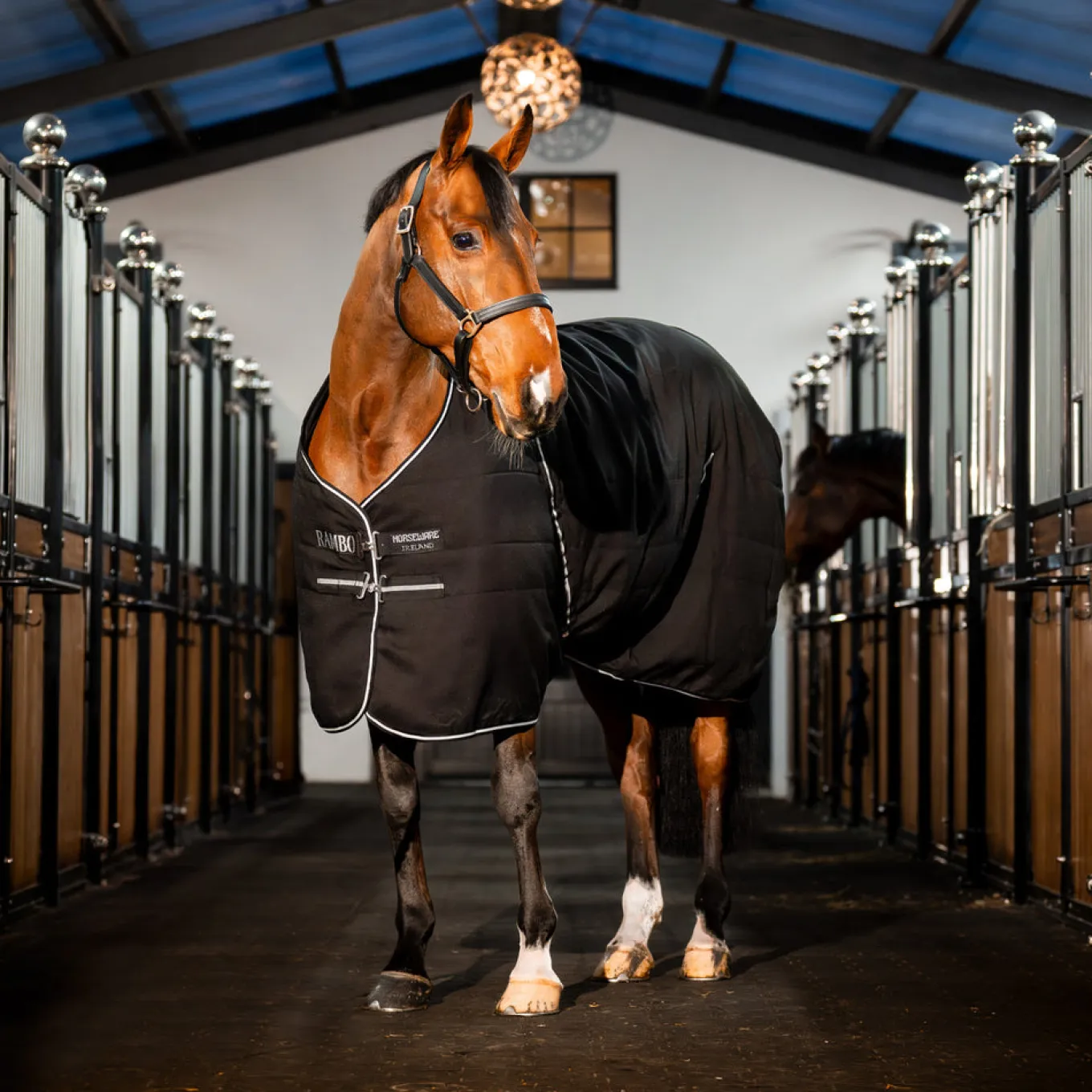 Rambo Stable Blanket 100 g