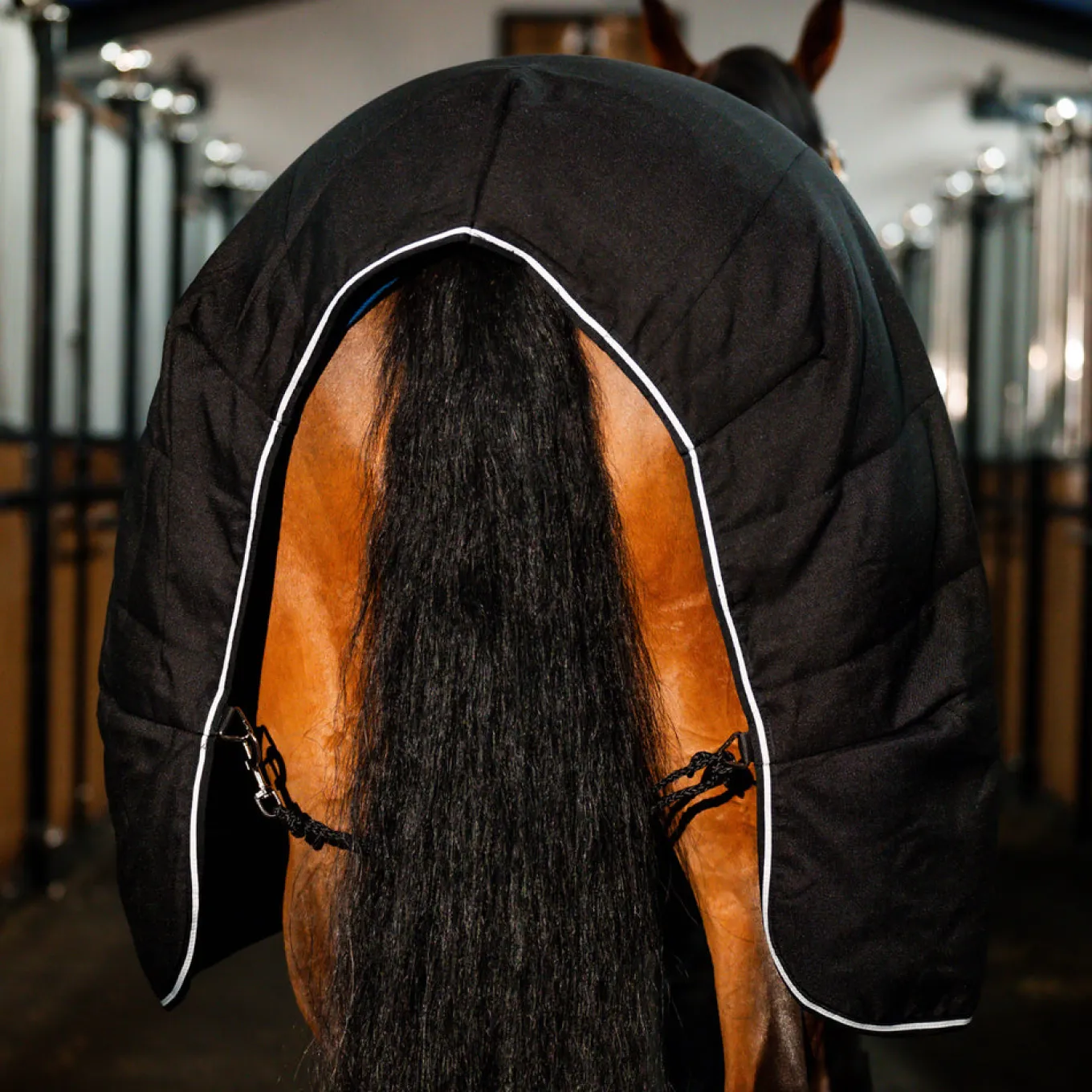 Rambo Stable Blanket 100 g