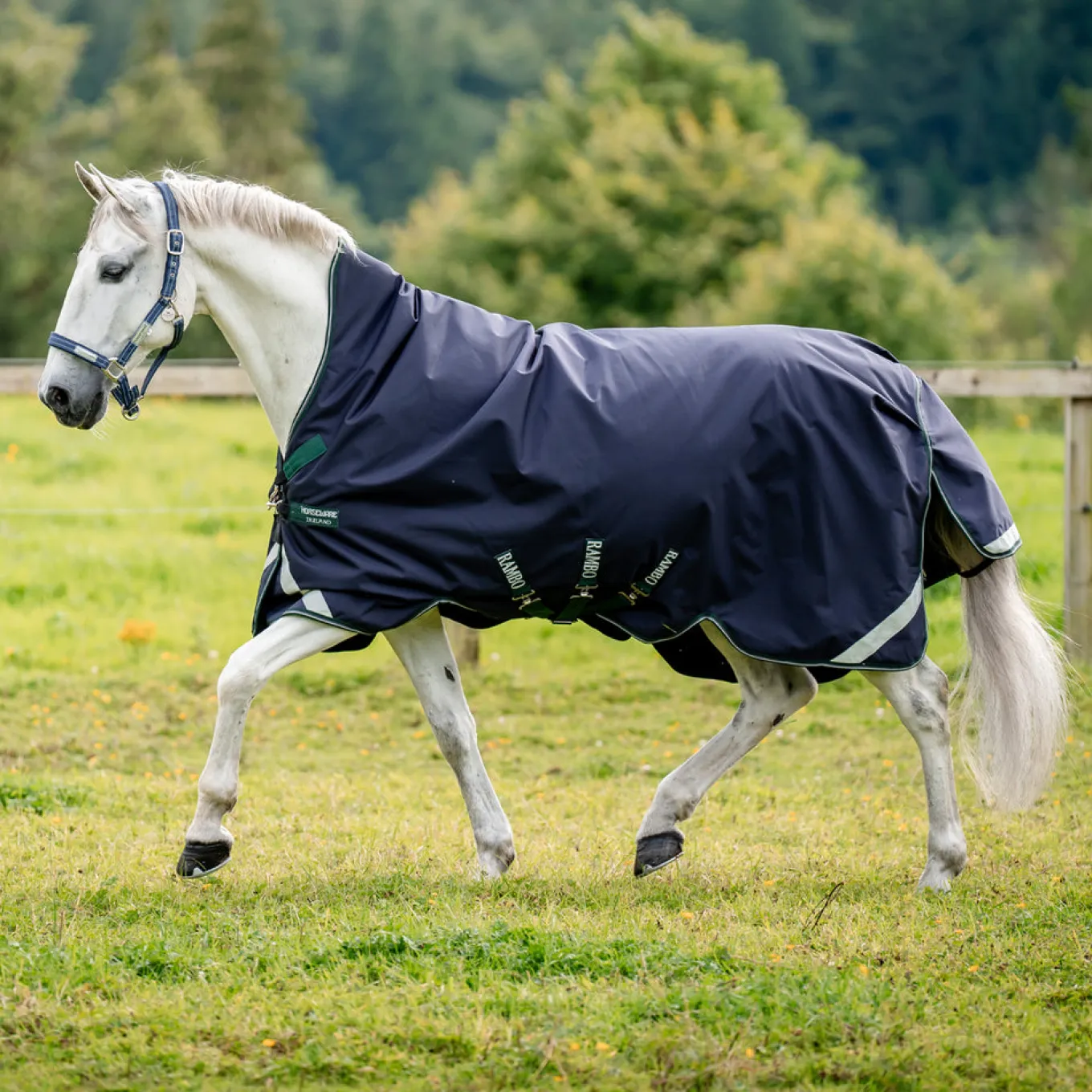 Rambo Wug 1680D Turnout Blanket 0 g