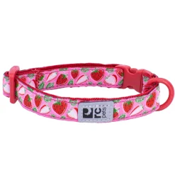 RC Pet Kitty Breakaway Collar