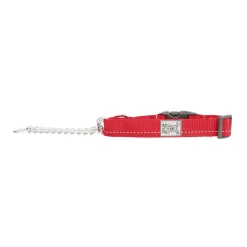 RC Pet Primary Training Clip Collar