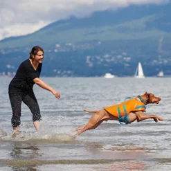 RC Pet Tidal Life Vest
