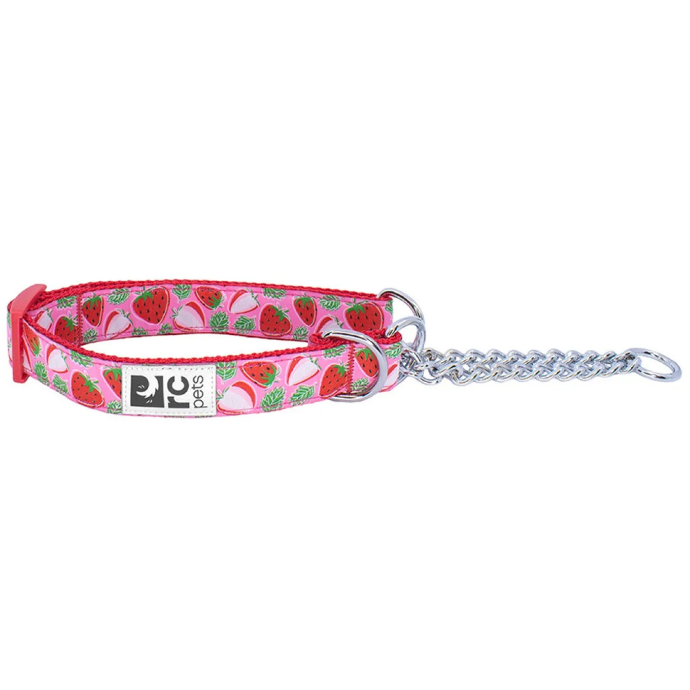 RC Pet Training Collar