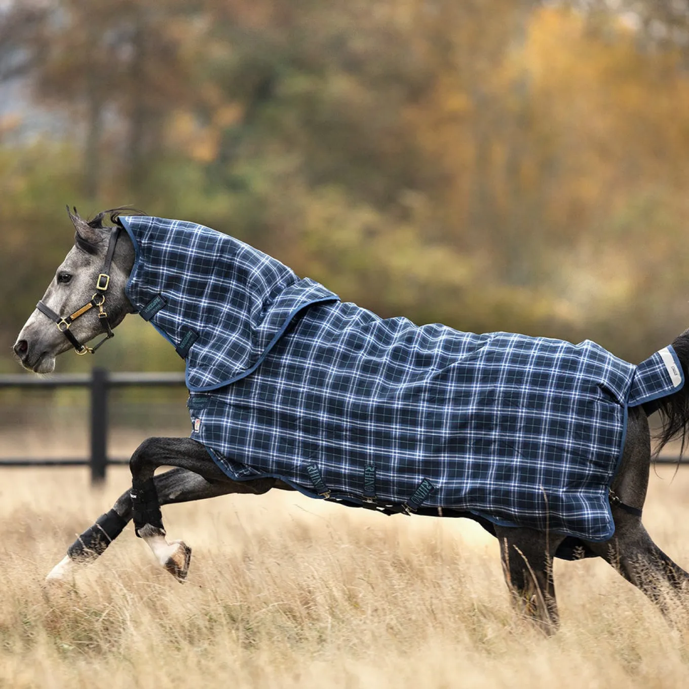 Rhino Plus Heavy Vari-Layer Turnout Blanket 450 g