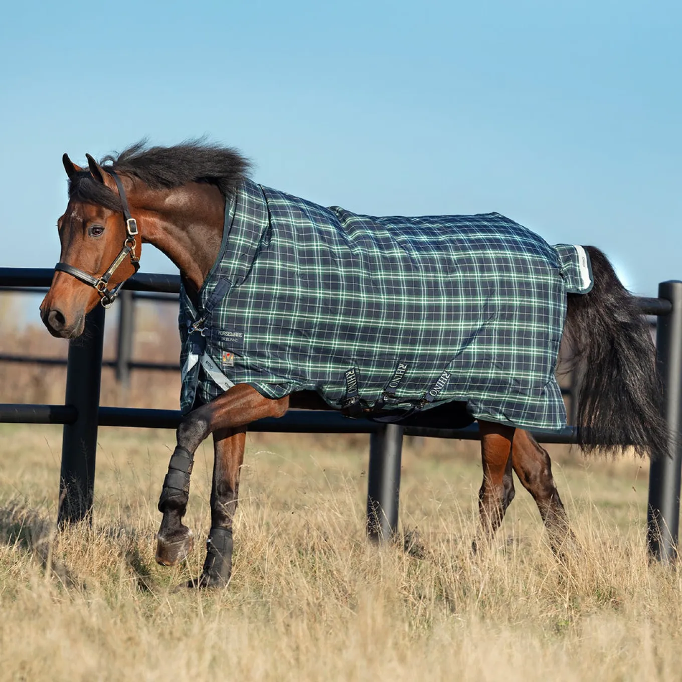 Rhino Wug Medium Vari-Layer Turnout Blanket 250 g