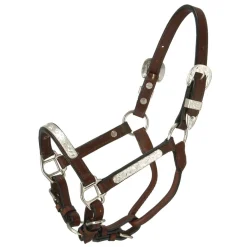 Royal King Silver Bar Miniature Show Halter