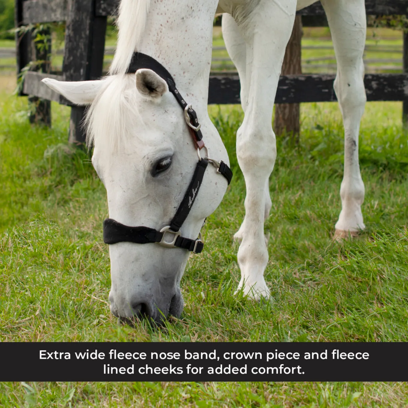 Shedrow Breakaway Halter W/ Fleece