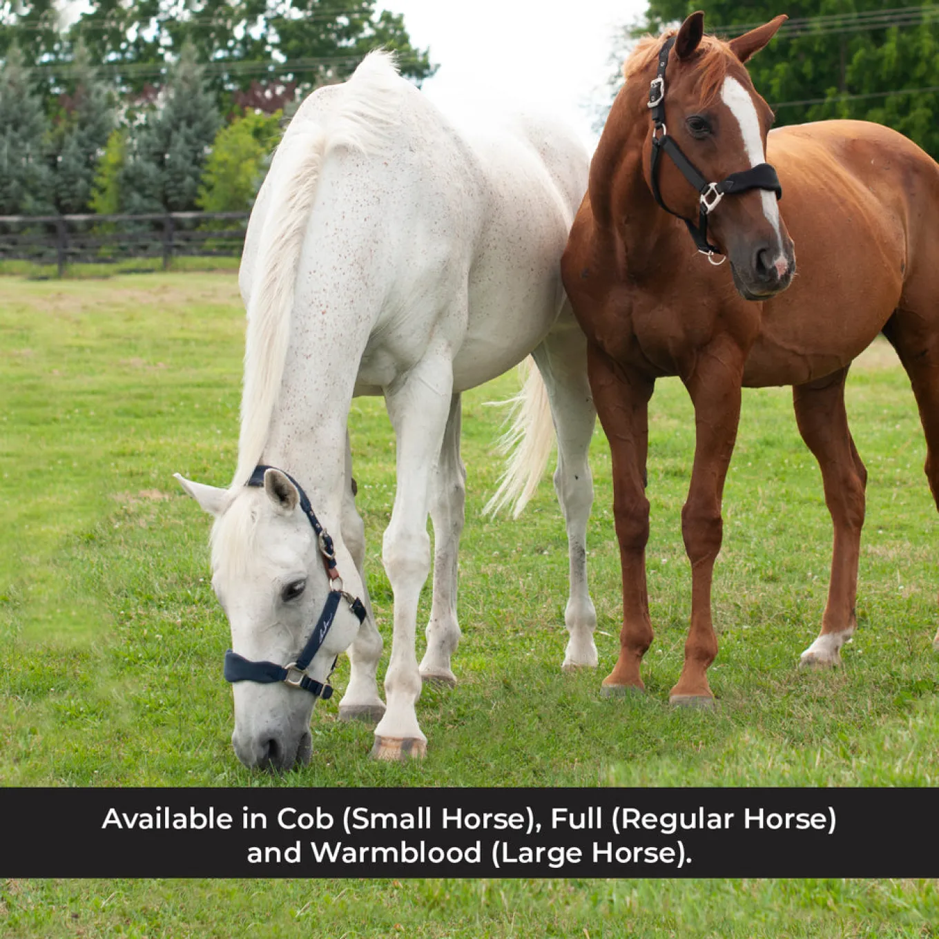 Shedrow Breakaway Halter W/ Fleece