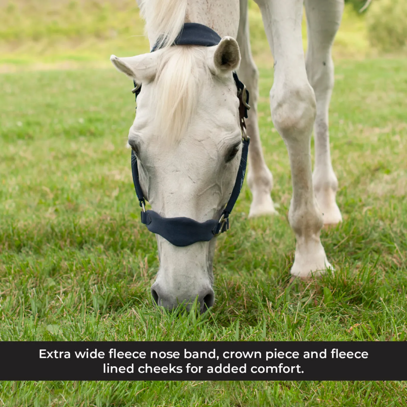 Shedrow Breakaway Halter W/ Fleece