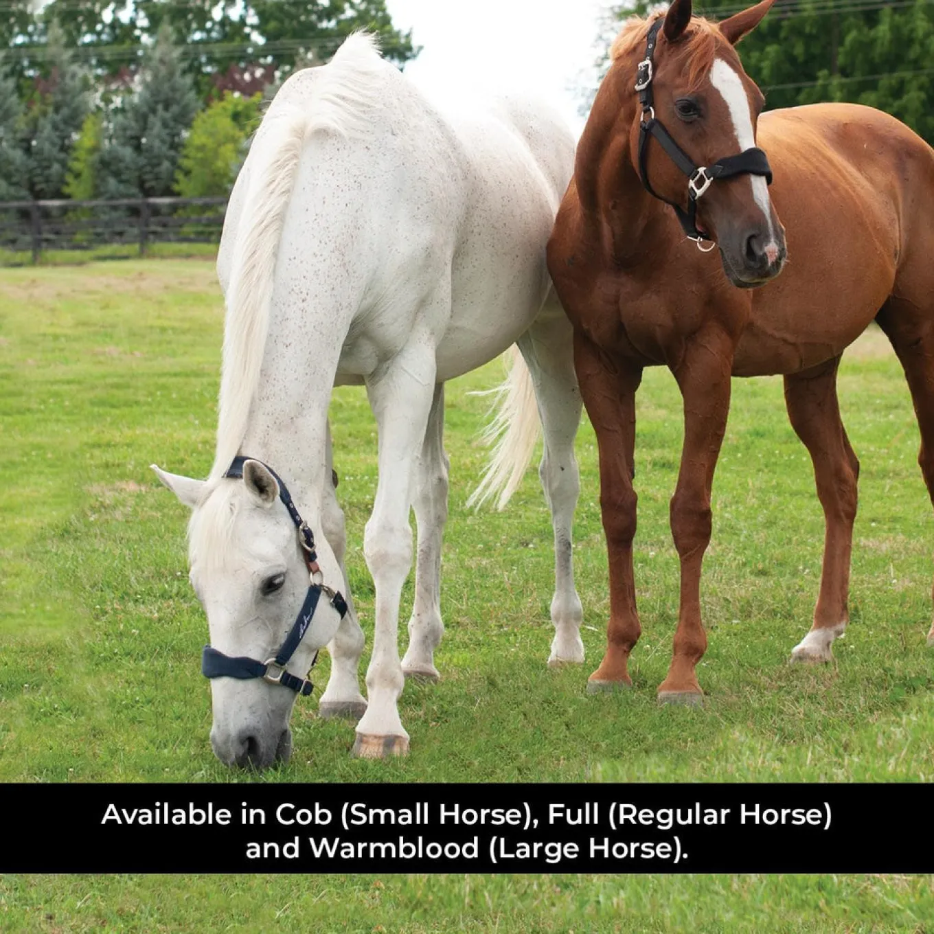 Shedrow Breakaway Halter W/ Fleece