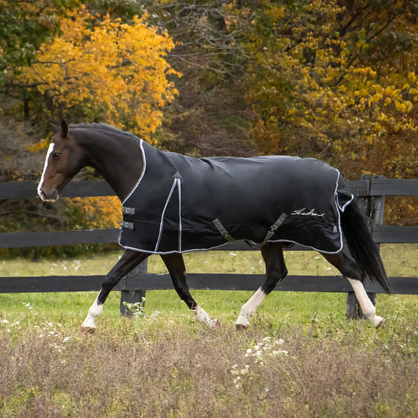 Shedrow Comfort Neck Rainsheet 0 g