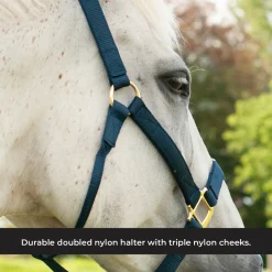 Shedrow Deluxe Halter